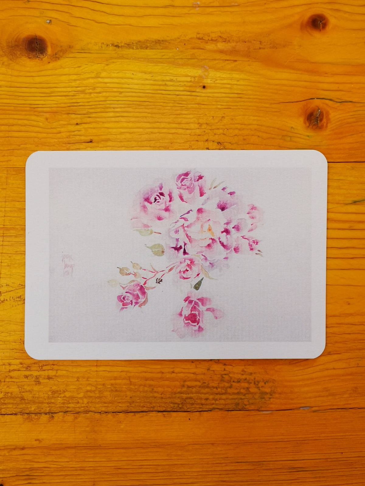 Cuatro postales de rosas · Basadas en acuarelas originales de Jorge Bayo Lon