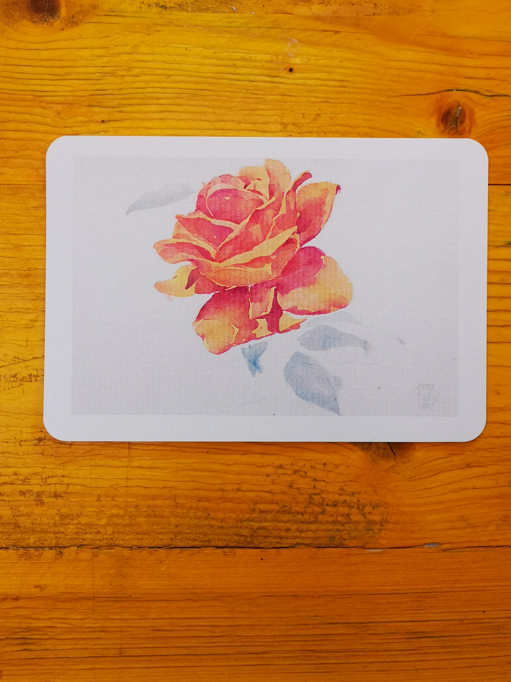 Cuatro postales de rosas · Basadas en acuarelas originales de Jorge Bayo Lon