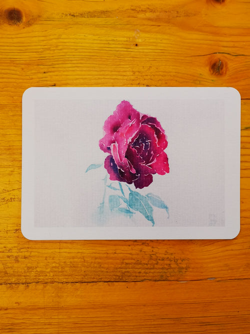 Cuatro postales de rosas · Basadas en acuarelas originales de Jorge Bayo Lon
