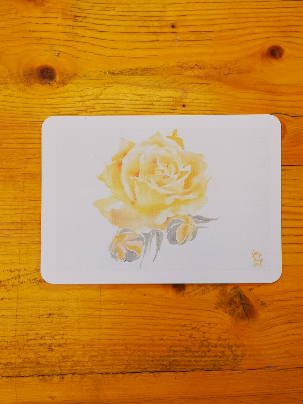 Cuatro postales de rosas · Basadas en acuarelas originales de Jorge Bayo Lon